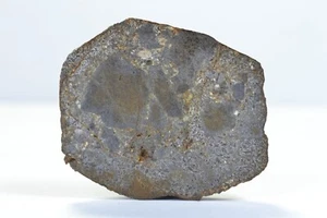 Meteorite NWA 13288 - Eucrite - found 2019 in NW Africa - end cut - 35.45 g - Picture 1 of 9