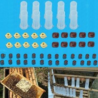 MagiDeal Double Queen Cage Needle Bee Moving Catcher Pin Cage Bee Beekeeping