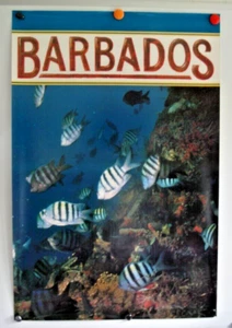 PÓSTER Barbados Buceo Buceo Bandas Mariposa Pez Retro Arrecife de Coral De Colección 1980 - Imagen 1 de 2
