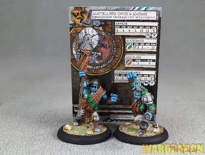 40mm Hordas WDS pintado Trollbloods Scattergunner Oficial y Estándar u41 - Imagen 1 de 5