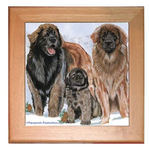 Leonberger Dog Kitchen Ceramic Trivet Framed in Pine 8" x 8" - Picture 1 of 1