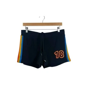 NWOT Coachella Fleece Rainbow Stripe Lounge Shorts in Black/Multi Size L - Picture 1 of 8