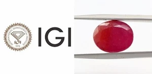 10.33 Ct 100% Natural Ruby IGI Certified Loose Gemstone 13 x 10 mm Purplish Red - Picture 1 of 11
