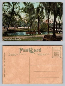 Tampa, FL-Florida, Sulphur Springs Park malerische Aussicht Bänke Vintage Postkarte - Bild 1 von 3