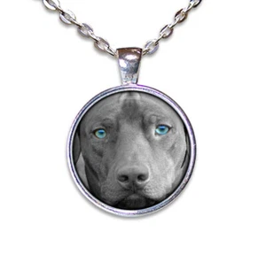 Blue Eyed Weimaraner Dog Pet Owner - Handmade ROUND Glass Pendant Necklace - Picture 1 of 10