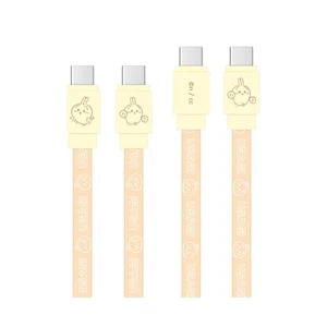 Gourmandise Chiikawa PD60W Compatible USB2.0 Type-C Cable Rabbit CK-43C - Picture 1 of 6