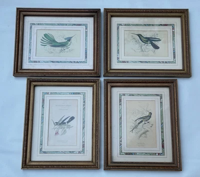 LOTE DE 4 IMPRESIONES OFFSET ANTIGUAS VINTAGE COLIBRÍ ENMARCADAS COLOREADAS A MANO AGUATINTA Foto 1 de 4