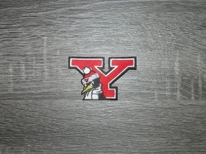 YSU Youngstown State Penguins College bestickt Bügelbild Aufnäher 3" x 2" - Bild 1 von 2