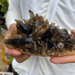 340G Natural Rare Beautiful smoky QUARTZ Crystal Cluster Mineral Specimen - Picture 1 of 13