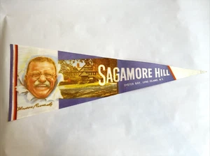 Theodore Roosevelt sagamore hill Oyster bay long island vintage pennant 25” - Picture 1 of 6