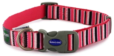 ANCOL Candystripe Dog Collar - Pink. Adjustable, Environmentally Friendly. 3 Sizes.
