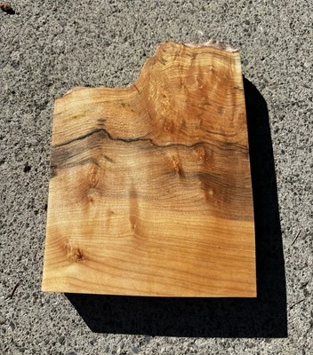 Folha grande rachada olho de pássaro de bordo borda viva 7,75-10,5”x5-8”x1,75” - Imagem 1 de 4