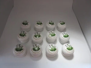 PORTMEIRION BOTANISCHER GARTEN Chrysantheme Keramik Schublade Zugknopf 12er Set (#2) - Bild 1 von 9