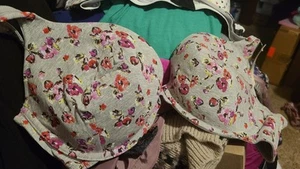 Plus Size Cacique Cotton Boost Plunge Bra Size 44C Beautiful Floral - Picture 1 of 5