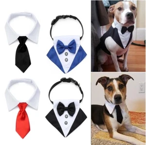 Dog Cat Grooming Cute Dog Necktie Pet Accessories White&black Collar Formal Tie - Picture 1 of 4