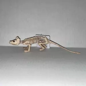 MINI RAT SKELETON SPOOKY BONEZ DEAD ANIMAL PROP DECORATION SEZ28046 - Picture 1 of 3