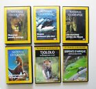 6 DVD NATIONAL GEOGRAPHIC Dinosaures/royaumes Mayas/Orques/Léopard/Serpents...