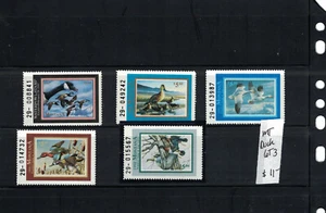 MT Duck Lot 3 DSS - Picture 1 of 1