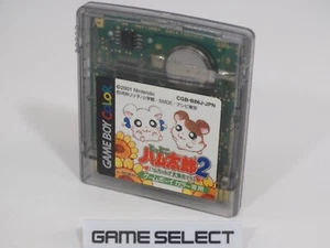TOTTOKO HAMUTAROU HAMUTARO HAMTARO 2 HAMU-CHAN ZU DAISHUUGOU DECHU GAMEBOY COLOR - Foto 1 di 1