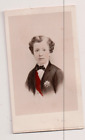 Vintage Cdv  Louis-Napoléon, Prince Imperial Neurdein Photo Hand Tinted