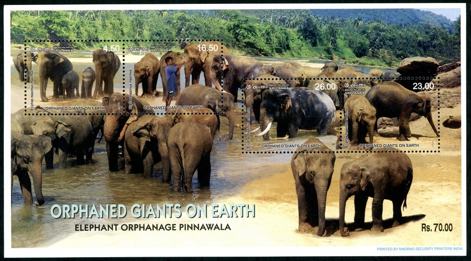Sri Lanka Sello Mini Hoja Gigantes Huérfanos Elefante Orfanato Pinnawala MNH Foto 1 de 1