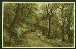 Vintage britische Postkarte The Hobby Drive Clovelly, Devon - Bild 1 von 2