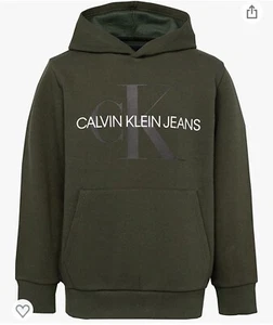 Calvin Klein Old School Logo Pullover Hoodie Sequoia Boys Size M Green Outdoor - Picture 1 of 9