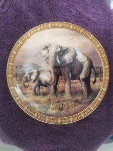 Elephant African Animal Wildlife Collector Plate 8" - Picture 1 of 2