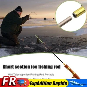 Canne à pêche sur glace, crevettes de rivière, carpe d'hiver (poignée droite) - Photo 1/7
