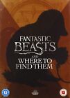 Fantastic Beasts and Where to Find Them (DVD) - Free UK P&P
