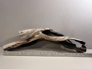 Madera Manzanita grande, madera a la deriva, decoración de tanque de reptiles, paisaje acuático o terrario - Imagen 1 de 7