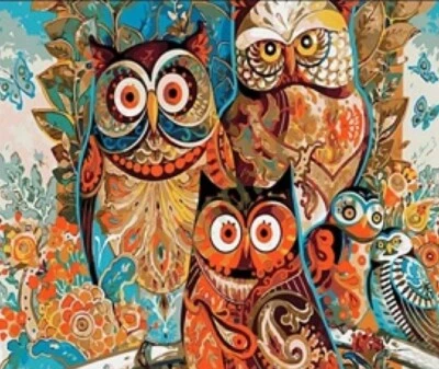 50x40 cm Malen nach zahlen Set mit Holzrahmen Eule - Bild 1 von 4