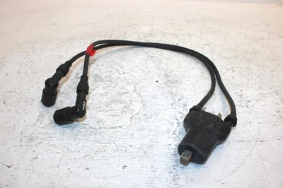 Bobina de encendido Arctic Cat Zrt 600 1996 fabricante original 3004-483 SA6 Foto 1 de 4