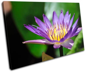 Lily Flowers Floral SINGLE LONA pared arte Foto impresion - Imagen 1 de 1