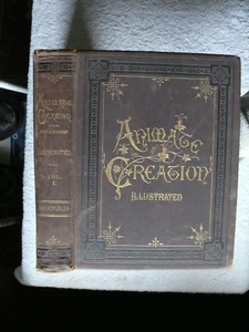 ANIMATE CREATION  Volume 1 by J. G. Wood. New York: Selmar Hess 1885 - Picture 1 of 16