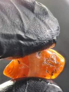 Translucent Chatoyant Color Shift Banded Prehnite Keweenaw Thompsonite Mesolite  - Picture 1 of 23