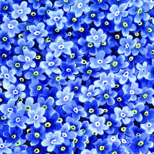 Moda Fabrics The "WILDFLOWERS VI 32365 11 " WILDFLOWERS"INDIGO BTY - Picture 1 of 1
