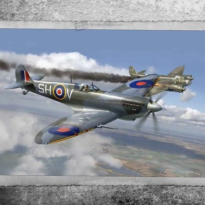 Forces Of Valour 1/72 873009A British Supermarine Spitfire MK. IX aircraft Kit - Image 1 of 4