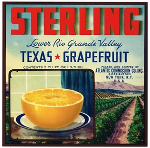 ORIGINAL CITRUS CRATE LABEL VINTAGE 9X9 1940 FILE TEXAS STERLING NEW YORK RARE - Picture 1 of 1
