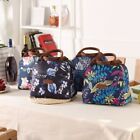 Thermal Insulated Picnic Bags Handbag Pattern Insulated Lunch Bag   Home