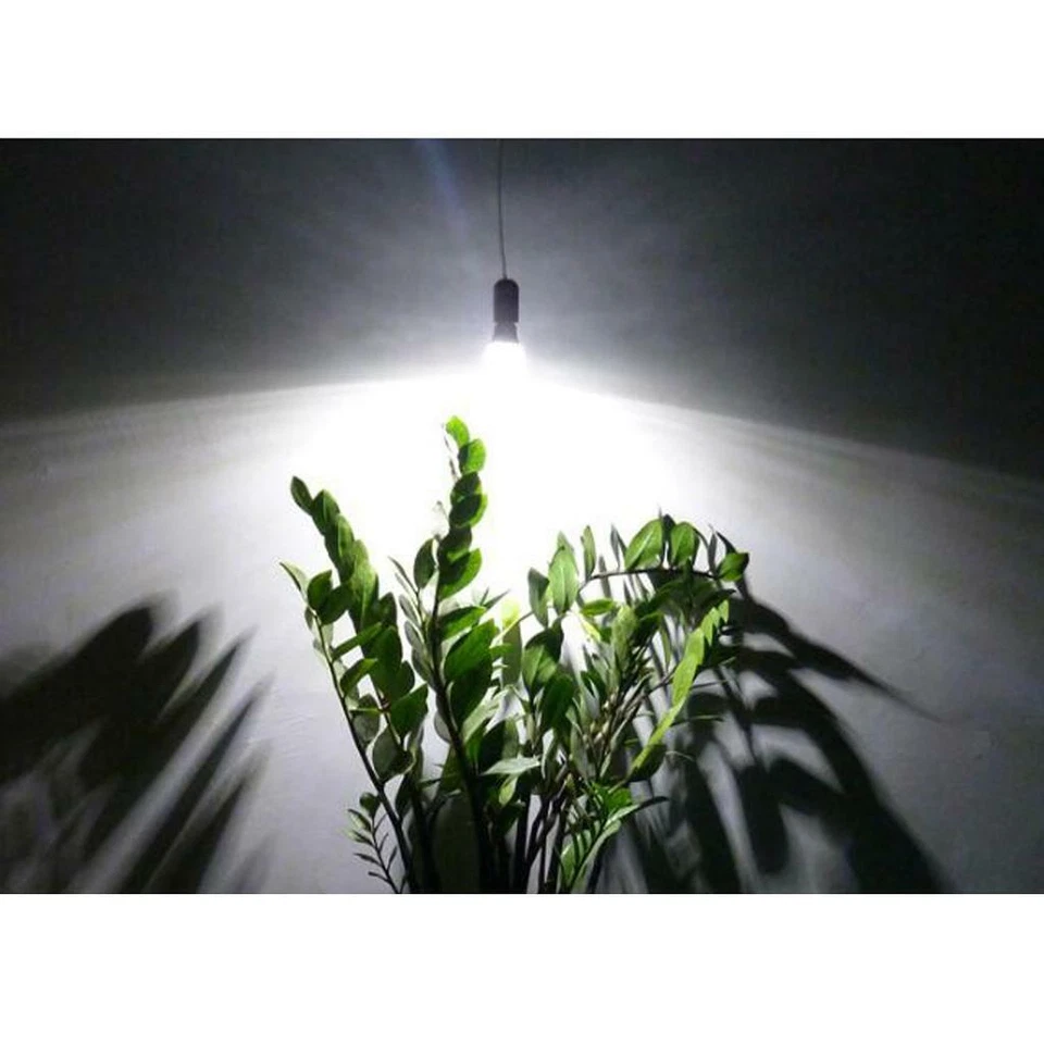 Winter Hibernation Light Plant Grow Light Bulb, Perfect for - Image 1 of 1
