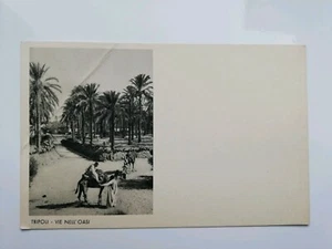 (133) CARTOLINA ILLUSTRATA IN BIANCO E NERO DI TRIPOLI - VIE NELL'OASI - Imagen 1 de 2