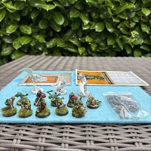 10 Hunters of Huanchi + 3 terrawing + cards Warhammer warcry Seraphon Painted - Picture 1 of 23