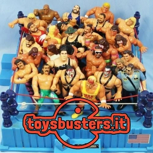 WWF Wrestling Hasbro (1990 - 1994) - Immagine 1 di 1