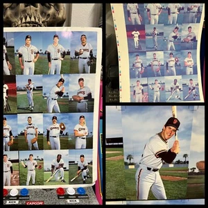 SF Giants Postal Hoja Sin Cortar PROTOTIPO Doble Cara Will Clark Al revés - Imagen 1 de 13