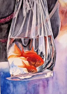 Goldfish Watercolor Painting Fish in Plastic Bag with Water Zodiac Pisces Art A4 - Picture 1 of 10