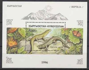 Kirguistán 1996 Fauna Reptiles MNH Bloque - Imagen 1 de 1