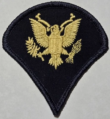 US ARMY SPECIALIST E-4 SPC SPC4 RANK PATCH ENLISTED DIRTY BIRD UNIFORM MILITARY  - Image 1 of 2