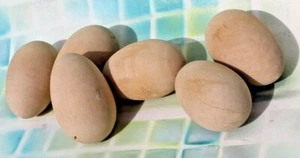 Set of 6 Unpainted Natural Wood Grain Eggs, 2.5" x 1.5” FREE SHIP! - Picture 1 of 6