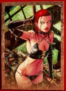 WOMEN OF DYNAMITE - LIMITED EDITION PROMO CARD 3 (#198 OF 200) - Breygent 2015 - Bild 1 von 2